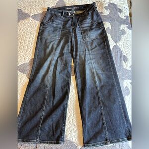 American Eagle High Waisted Baggy Wide Leg